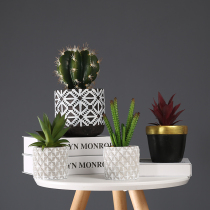Modern minimalist Nordic cement basin simulation succulent plant potted interior decorations bonsai desktop knick furnishings