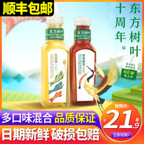 Nongfu Spring Oriental Leaves Green Citrus Puer Genmai Tea Jasmine Sugar-free Tea drink 500ml*15 bottles full carton