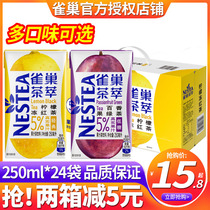 (Zhang Yixing the same)Nestle tea extract ice black tea Peach Oolong passion fruit green tea 250ml*24 boxes of the whole box