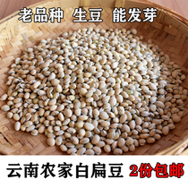 2021 New beans Yunnan old varieties of white lentils authentic farmhouse black edge White lentils 500g two parts