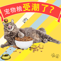 Food desiccant cat food tea nut silicone dehumidification small bag grade shoes big bag moisture-proof bag mildew bag