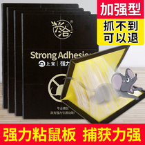 Xingqia super strong mouse board catch big mouse paste glue stick stick stick to catch mouse Buster artifact