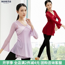 Classical dance dress womens mesh Dance Top adult body rhyme dance costume ballet body practice suit