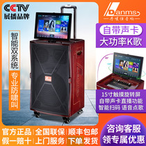 Danmark Square Dance Audio with Display Screen Outdoor KTV All-in-One High Power K Song Subwoofer Speaker