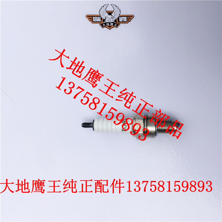 Original Land Eagle King DD250E-9B 9A Spark Plug 250G-2 250G-2N 350E-6C Spark Plug