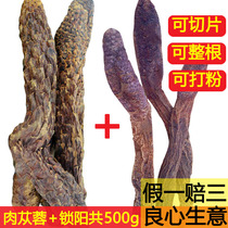 Xinjiang Desert Double Male Golden Cynomorium Cistanche Men Mens Kidney Tonic 500g Non-Wild Epimedium