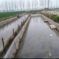 New 202180 Seedling Incubation Oxymoron Leech Cage Mud Loach Spawning Water Flower Destination Pool Breeding Yellow 2021 New