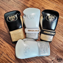 NoBoxingNoLife Brand Awa Tethered Boxing Muay Thai Fighting Sandbag Horse Hair Latex Boxing Gloves