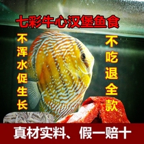 Beef heart burger Colorful angelfish Swallow fish Arhat fish food color enteritis quarantine fort