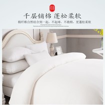 Cotton quilt mattress cotton quilt core thickened warm winter quilt single student dormitory pad 10kg quilt