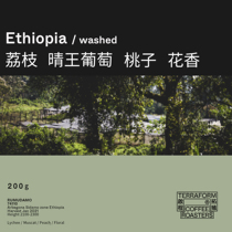 (Terraform) litchi flower fragrance clear King grape 2021 new season washed coffee beans