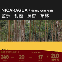 (Terraform) guava sweet orange yellow apricot auction batch yellow papacara anaerobic coffee beans 100g