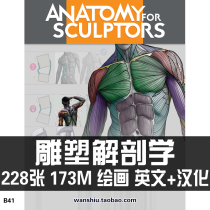 Art using human structure muscles to express sculpture anatomy painting sketch sketch copy reference material data map