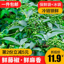 Mi Cang Mountain fresh green vine pepper 350g Sichuan specialty flower Jiaojiang Jin fresh blue and white pepper Special hemp pepper spice