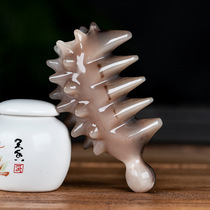 White buffalo horn comb sharp tail natural portable male lady home head meridian massage roll hair Special