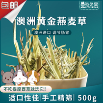  Australia imported selected oat grass 500g low dust high fiber rabbit Chinchilla Guinea pig hay
