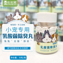 Rabbit dragon cat lactic acid bacteria deodorant pills regulate gastrointestinal increase of intestinal bacteria 50 grain portions