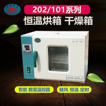 Hengnuo Lixing small oven Electric blast drying oven High temperature aging headlight oven Constant temperature drying box Laboratory