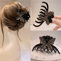 Butterfly grab clip hairpin back of the head large acrylic hair grab plate hair headdress Korean elegant temperament hair clip