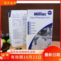 Blue Windmill Light Cream Animal Cream Blue Migi Cream Cake Framed Cream 1LX12 FCL