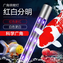 Koi fish tank light led light Waterproof fish tank light Underwater light Diving light Aquarium double row wide angle goldfish light