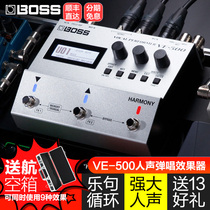 Roland BOSS vocal harmony effect VE-500 professional phrase loop loop single folk guitar playing and singing