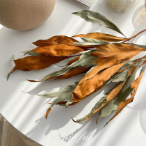 chic fun * ins Europe imported double-sided leaf natural dried flowers niche autumn and winter home B & B clothing store decoration