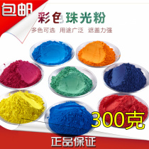 Paint Coating Toner Flash Metal Powder Pearl Powder Waterproof Art Paint Water-based Pigment 300g