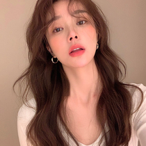 Korean earrings 2021 new trend sterling silver earrings summer high-end sense of light luxury golden circle retro earrings