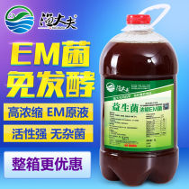 Fish doctor super concentrated EM stock solution probiotics fertilizer hydroponic algae lactic acid bacteria aquaculture fish tank bacteria fertilizer Water Cream