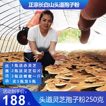 Juxiang You Ganoderma lucidum spore powder Taochang Baishan new powder of the month gift Northeast specialty Basswood Forest 250g