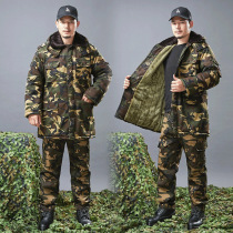 Camouflage coat short thick male Winter long cold military cotton coat overalls labor insurance big cotton padded jacket cotton pants