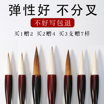 The brush practice professional level wolf wolf sheep and sheep and the suit Yang Hao Chinese painting Zhongkai primary school grade three top ten brands regular script running book Ou Kai special Tian Kai big Kai middle number seal script beginner Yan body