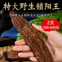 Gansu selected wild golden cynomorium Special 500g whole root soaking wine material male nourishing Chinese herbal medicine cistanche Epimedium