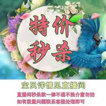 Do not return do not change the shot link optimistic payment live room special price spike