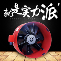 G112 132 frequency conversion motor special cooling fan cooling fan 380V outer rotor axial fan silent