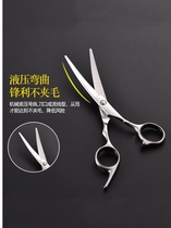 Pet haircut scissors beauty pet scissors supplies nail dog professional dog haircut simple special shape