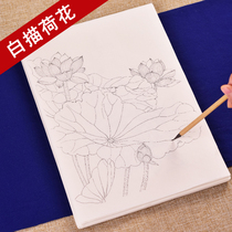 Zhenyan meticulous painting White drawing manuscript Lotus Lotus copying ancient painting beginner textbook finished special rice paper line drawing Chinese painting can be directly colored