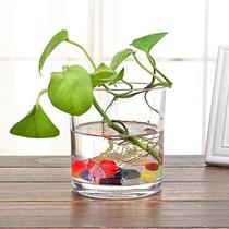 Round Press Thickened Glass Fish Tank Water Peloo Vase Lotus Vase Bronze Money Grass Sleeping Lotus Flower Pots One Leaf Lotus Vat