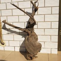 Pure North Taipei Cliff Berry Spice Swing Piece Aggregate Dura Aged Spice Plate Root Stock