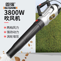 Guqiang portable 3800W high-power storm Machine Industrial hair dryer electric blowing leaf dust removal cleaning Blower