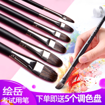 Painting Yue wolf brush gouache set Art student exam special Black Knight acrylic flat head watercolor pen Oil painting fan-shaped pen Single round head round front girl powder gouache beginner color row pen