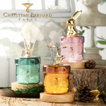 Zanpu X France Bernard ins Essential Oil Expanded Sparte Aromatherapy Bedroom Interior Fragrance Creative Gift Gift Box