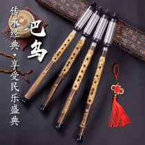 Natural Purple Bamboo Vertical Blow Bau Drop B Tone C Tune F Tone F Tuning Quasi-Type Beginner practice manufacturer direct