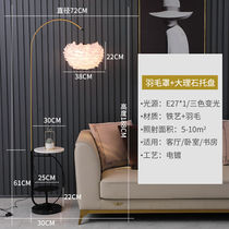 O Benja Fishing Light Floor Lamp Feather Living Room Sofa Light Luxurious Nordic Ins Nets Red Bedroom Tea Table Placement