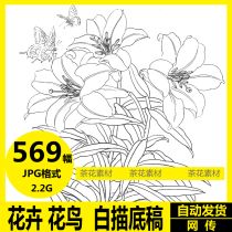 Flowers and Birds Line Drawing Draft Meinbi Painting Traditional Chinese Painting High Definition Picture Electronic Line Drawing Exercise Draft Pro Material