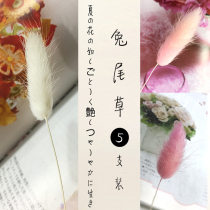 Farm rabbit tail grass Christmas eternal flower DIY material glass cover dry bouquet DIY material Music Box Gift
