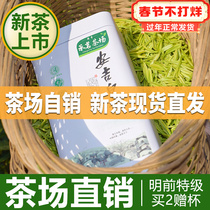 Authentic Anji White Tea 2021 New Tea Before Ming Dynasty Super Tea Rare White Tea 100g Spring Tea Green Tea Bulk