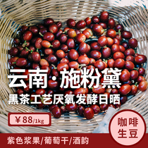 Shi Fandai Yunnan Puer printing grid coffee raw beans black tea craft pile anaerobic enzyme fermentation sun exposure 1KG