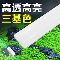 Fish tank light led light lamp lighting led waterproof small full spectrum light light water grass landscaping